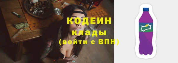 крисы Елизово