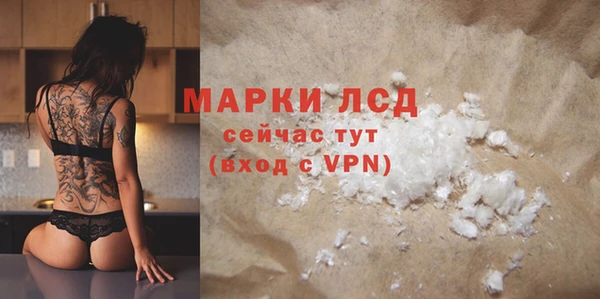 прущие грибы Абаза