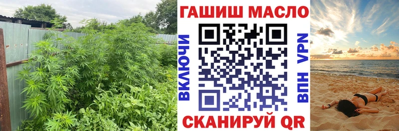 наркота  Старая Русса  Дистиллят ТГК гашишное масло 