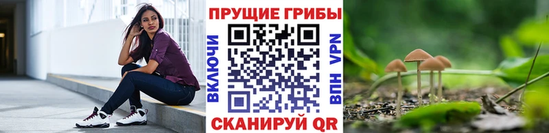 продажа наркотиков  Старая Русса  Псилоцибиновые грибы MAGIC MUSHROOMS 